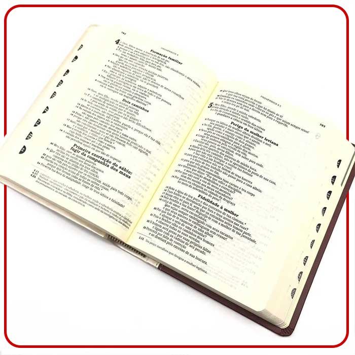 bíblia sagrada ave maria 11