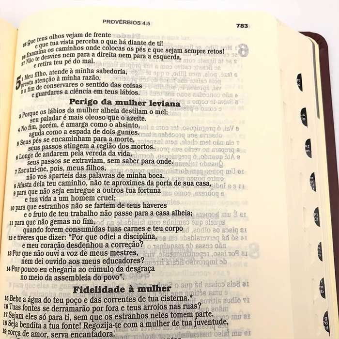 bíblia sagrada ave maria 12