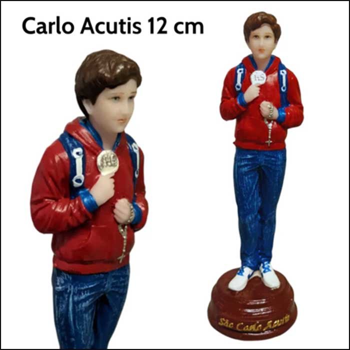 imagem do beato carlo acutis 28