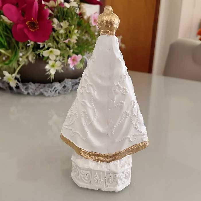 imagem de nossa senhora aparecida com flores 12