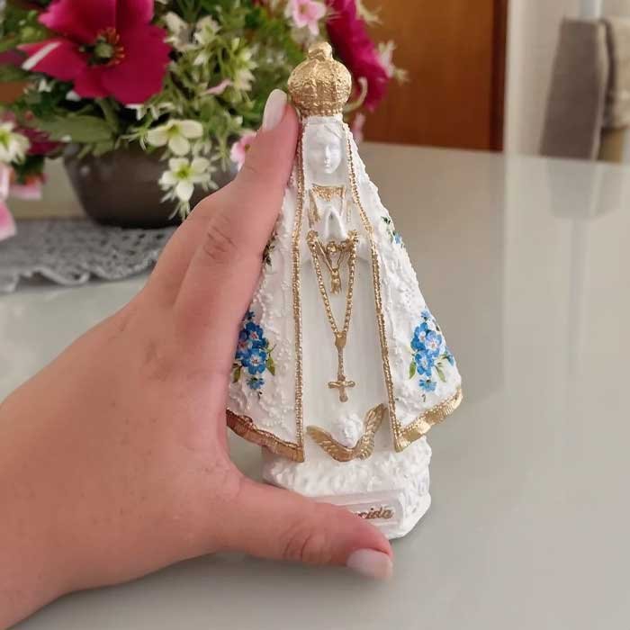 imagem de nossa senhora aparecida com flores 11