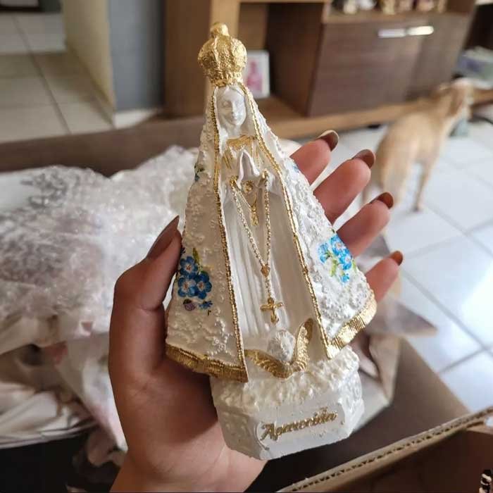 imagem de nossa senhora aparecida com flores 13