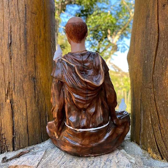 são francisco meditando 12