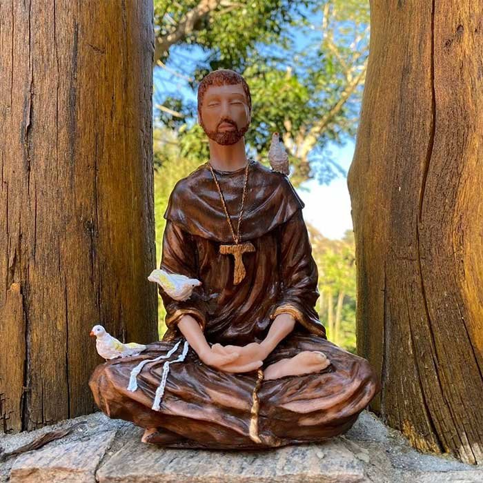são francisco meditando 11